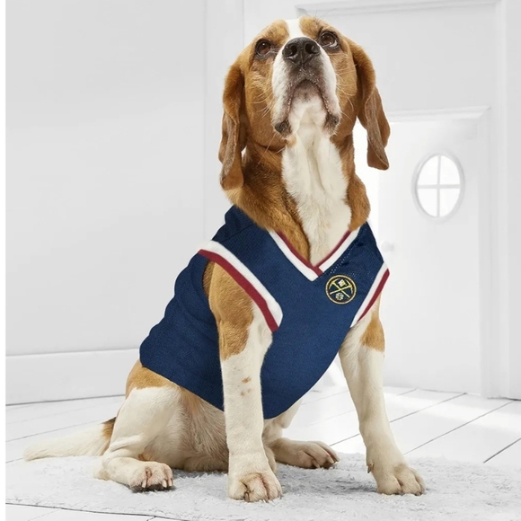 Denver 01 Blue Mesh Jersey For Dog - Picture 4 of 15